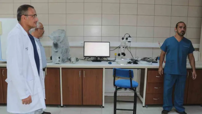 Türkiye'nin ilk tüp tayı dünyaya gelecek