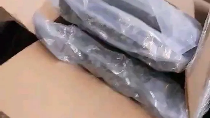 Türkiye'ye gelen tırda 145 kilogram esrar bulundu