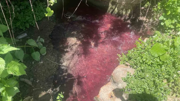 Turşu sulu renkli dereye çiftçiler de uzmanlar da tepkili