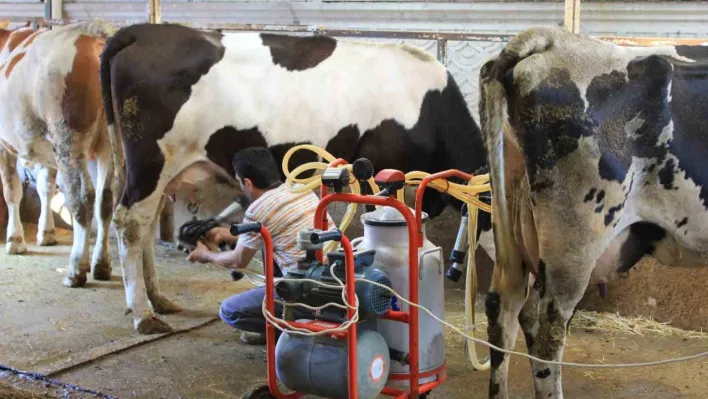 TÜSEDAD'dan çiğ sütte maliyet konusunda iş birliği çağrısı