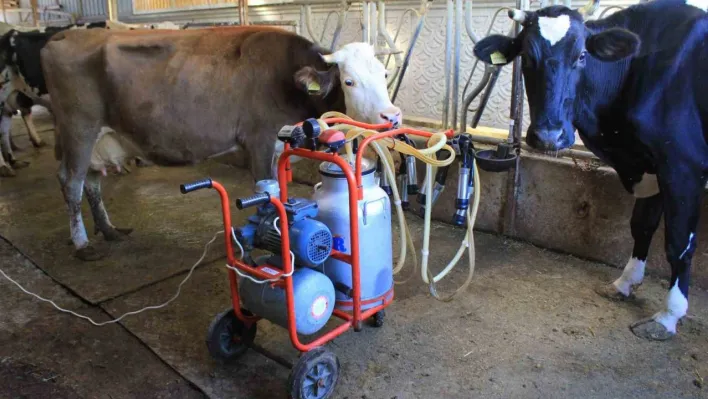 TÜSEDAD, sıcak süt tavsiye fiyatının 21 lira olmasını istedi