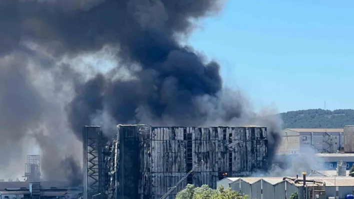 Tuzla'daki fabrika yangınına ilişkin Valilik'ten açıklama: 'Ölen ya da yaralanan yok'