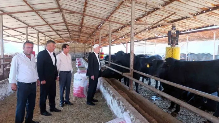 TZOB Başkanı Bayraktar: 'Bu yıl görülen şap virüsü daha ölümcül ve tehlikeli boyutta seyrediyor'