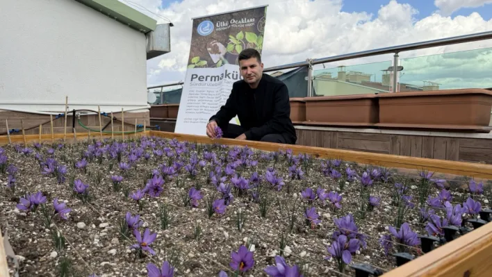 Ülkü Ocakları Genel Merkezi'nde çatıdan hasat: 'Her yer üretim alanına dönüşebilir'