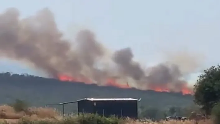 Uluabat Gölü'nden defalarca sorti yaptılar...Bursa'da iki ayrı noktada orman yangını