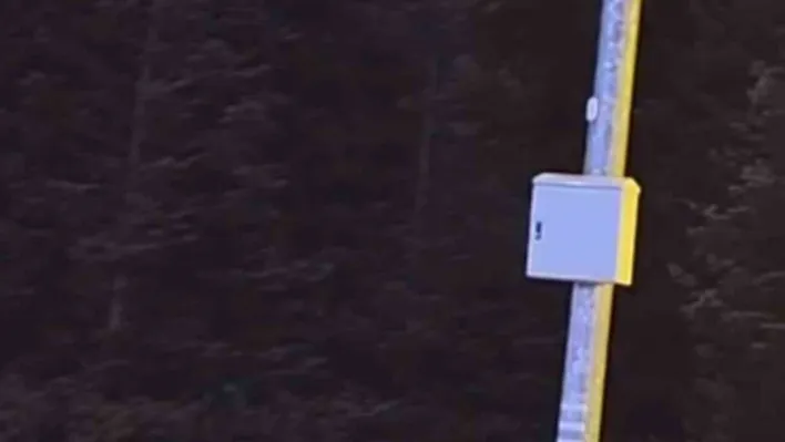 Uludağ'da kış uykusuna yatmayan ayılar, çöp konteynerlerini talan etti