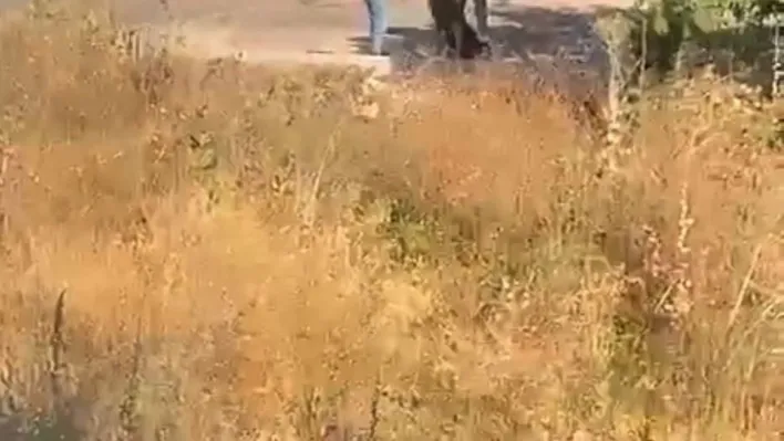 Ümraniye'de eski sevgilisinin başına silah dayayıp darp etti