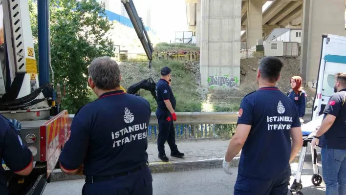 Ümraniye'de viyadük altındaki derede erkek cesedi bulundu