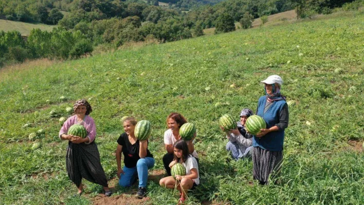 Üreticilere çilek bahçesi tesisi ve karpuz tohumu desteği