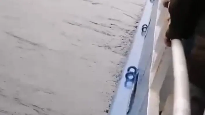 Vapurdan denize yolcu düştü, korku dolu anlar kameraya yansıdı