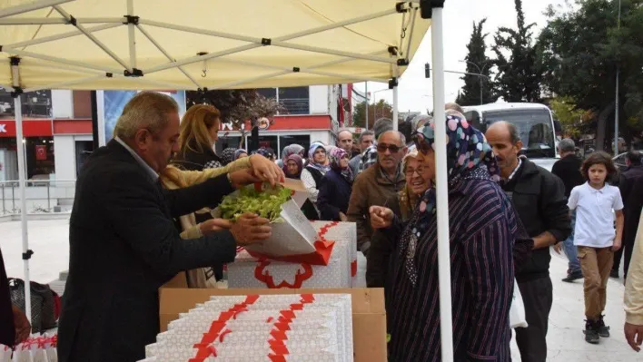 Vatandaşlara 30 bin adet marul fidesi dağıtıldı