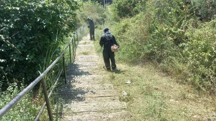 Vatandaşlardan gelen taleplerin yüzde 95'ini karşıladılar