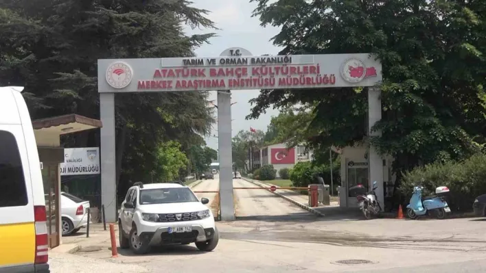 Yalova Atatürk Merkez Araştırma Enstitüsünde korkutan yangın