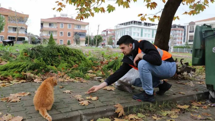 Yalova Belediyesi'nden sokak hayvanlarına 11 ayda 28,5 ton mama