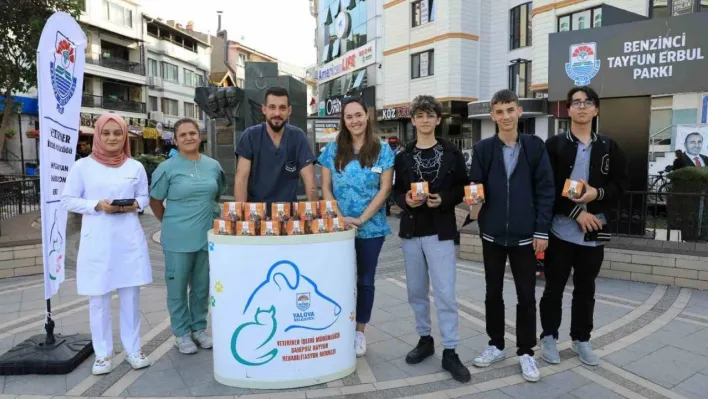 Yalova Belediyesi sokak hayvanları için mama dağıttı