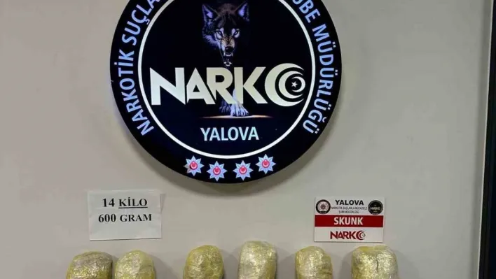 Yalova'da 14 kilo 600 gram skunk ele geçirildi