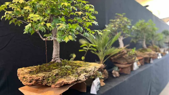 Yalova'da, 3. Uluslararası Bonsai Sempozyumu