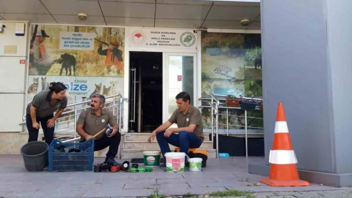 Yalova'da bıldırcın sesi çıkaran cihazlar imha edildi