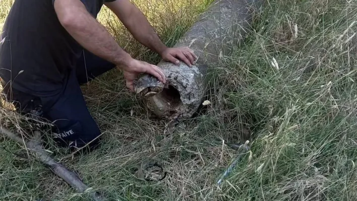 Yalova'da boru içinde mahsur kalan kaplumbağa kurtarıldı
