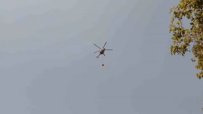 Yalova'da çıkan orman yangını kısa sürede söndürüldü