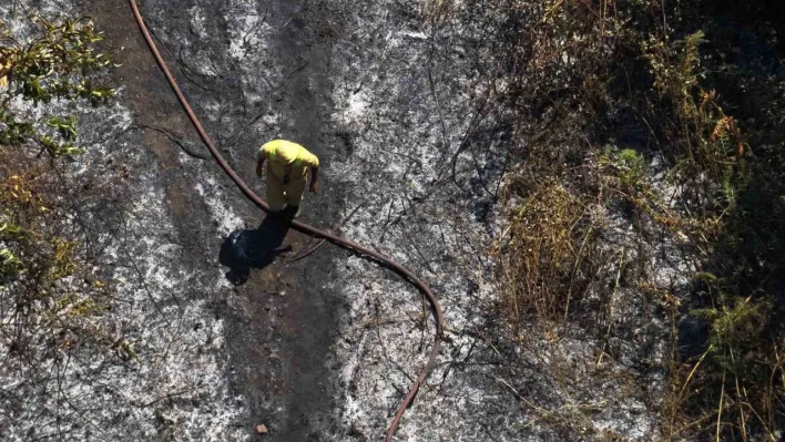 Yalova'da çıkan orman yangını büyümeden söndürüldü