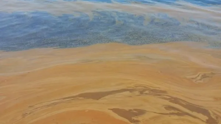 Yalova'da deniz kirliliğine sebep olan fabrikaya inceleme