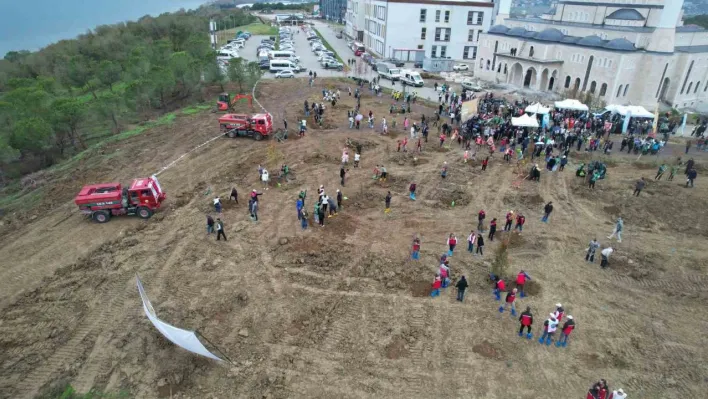 Yalova'da fidanlar toprakla buluşturuldu