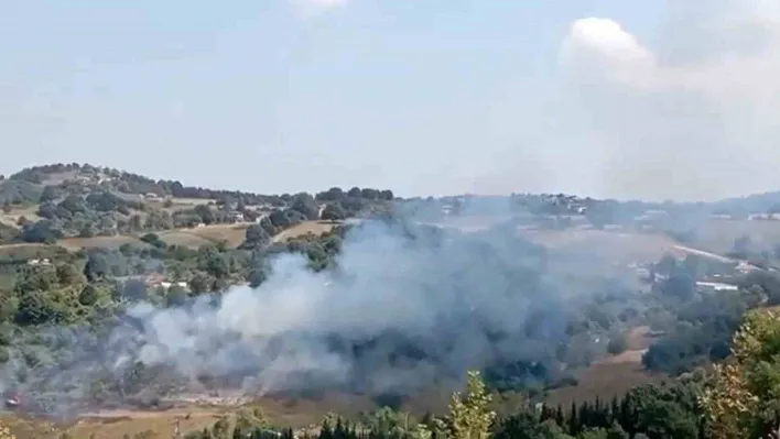 Yalova'da korkutan anız yangını