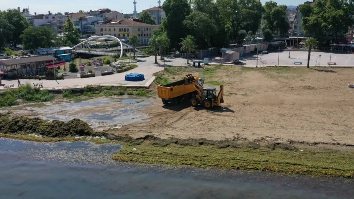 Yalova'da lodos sonrası yosunlar kaplanan kıyı şeridi temizlendi