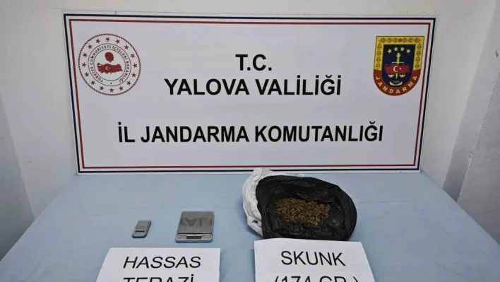 Yalova'da uyuşturucu operasyonu: 1 gözaltı