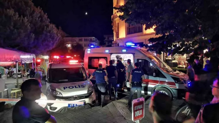 Yalova'da üzerine ağaç dalı düşen çocuk yaralandı