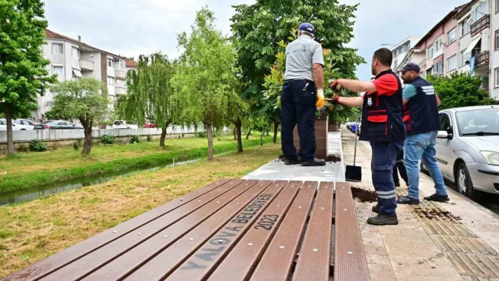 Yalova'da Vandallar iş başında