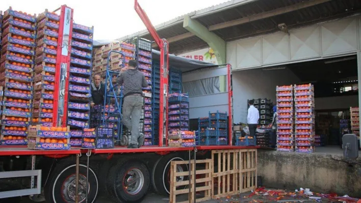 Yalova'daki meyve sebze halinden 2 ayda 5 bin 177 ton ürün çıkışı