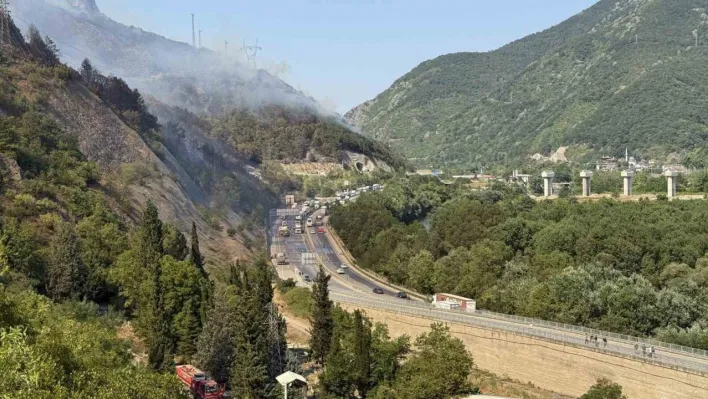 Yanan orman helikopter içinden görüntülendi