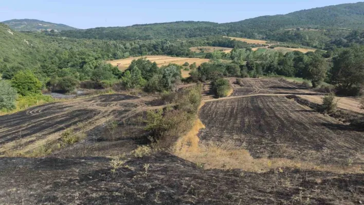 Yangında ekinleri zarar gören çiftçilere gübre ve tohum desteği