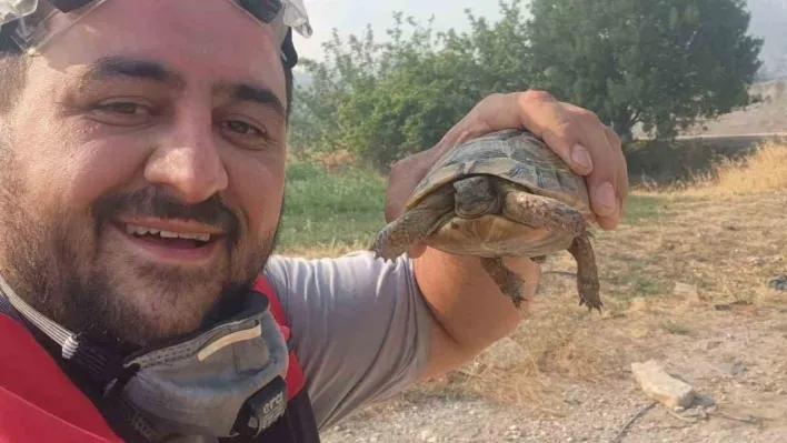 Yangından etkilenen hayvanlara elleriyle su verdiler