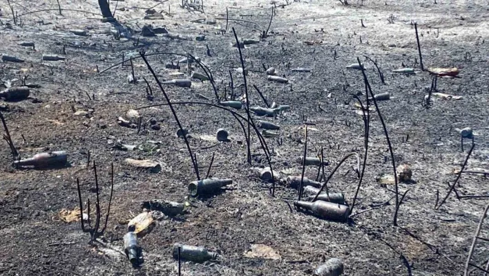 Yangının ardından utanç manzarası
