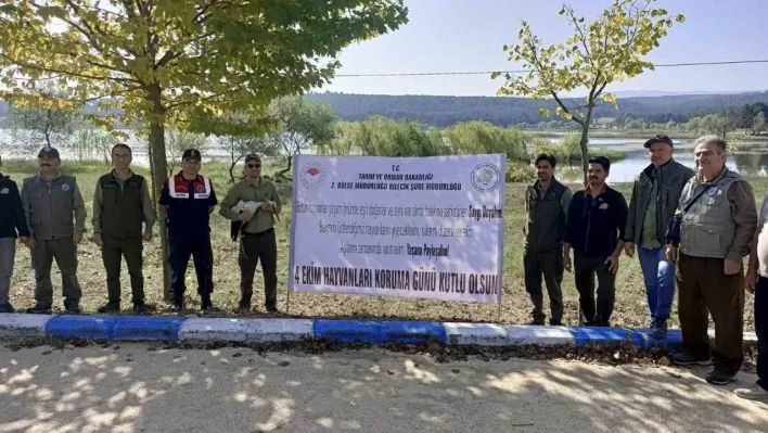 Yaralı bulunan leylek tedavisinin ardından doğaya salındı