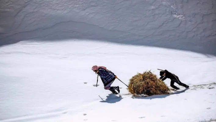 Yardımlaşmanın fotoğrafı