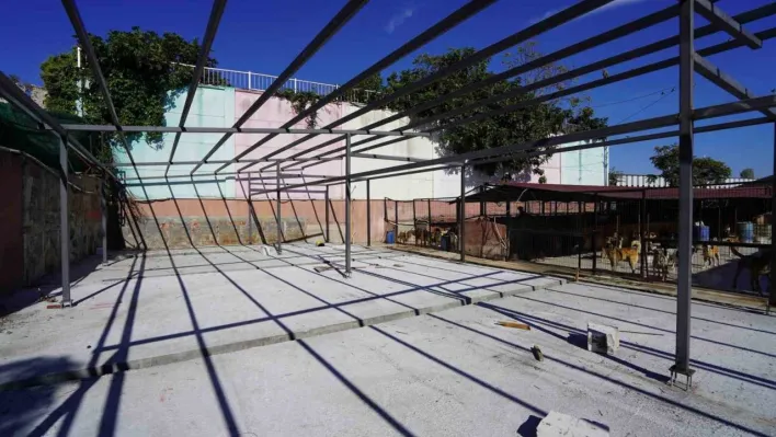 Yedikule Hayvan Barınağı'nın 2. etabı tamamlandı