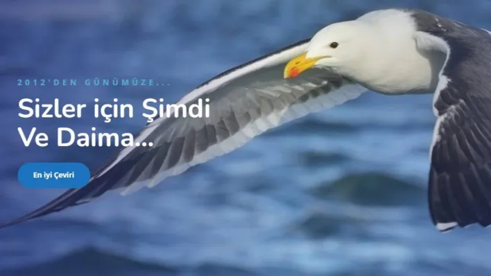 Yeminli Tercüman - Yeminli Tercüme: Türkçe'de Profesyonel Çeviri Hizmetleri