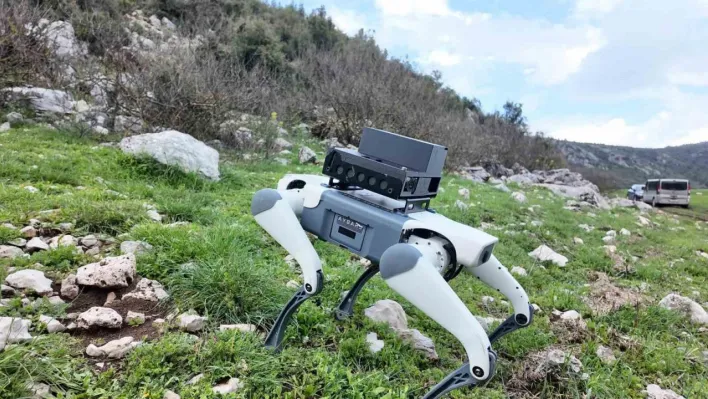 Yerli savunma sanayi firmasından robotik köpek atılımı: 'AyBARS'