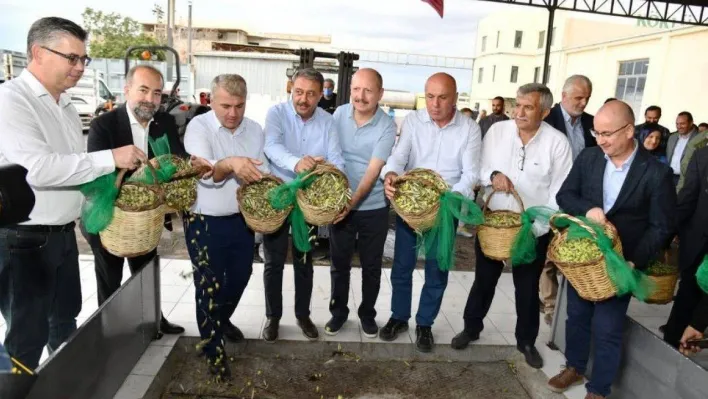 Yılın ilk erken hasat zeytinyağı üretildi