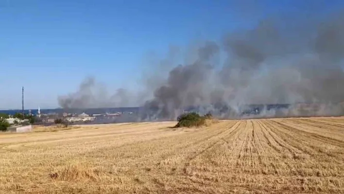 Yol kenarına atıdığı iddia edilen izmarit yangın çıkardı: Tekirdağ-İstanbul yolu dumanlarla kaplandı