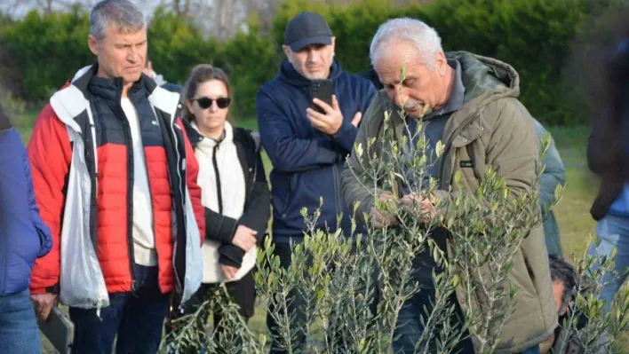 Zeytin yetiştiriciliği kursuna büyük ilgi