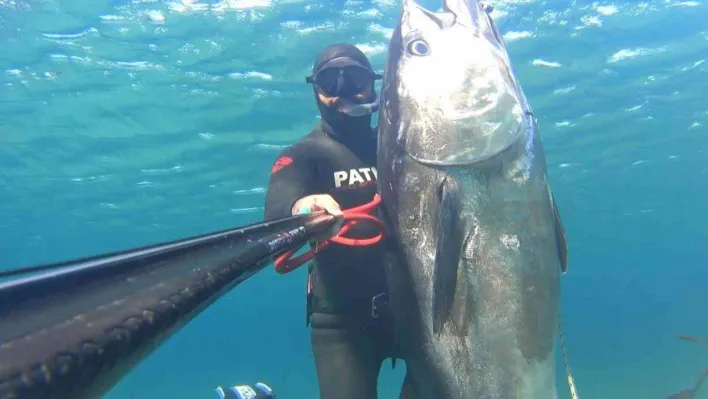 Zıpkınla 100 kiloluk orkinos avladı