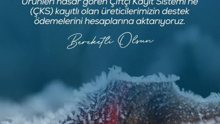 Zirai don nedeniyle ürünleri hasar gören çiftçilere 798 milyon lira destek ödemesi yapıldı