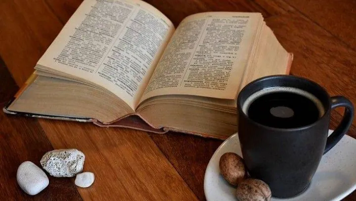 Kitap ve Hurma