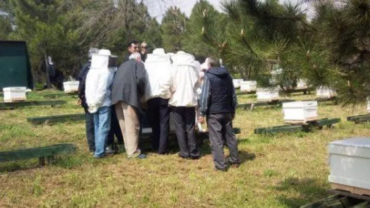 Arıcılık Kursu Mart Ayında Başlayacak