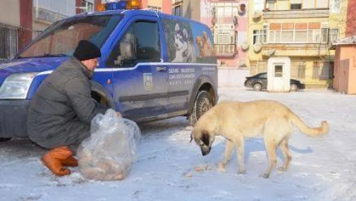 Can Dostlarımız Aç Kalmadı